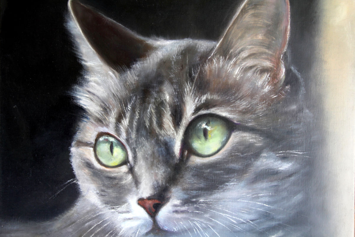 Chat antony