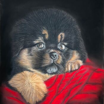 Painting titled "Tendre petit chiot" by Eric Delesalle, Original Artwork, Pastel
