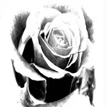 Photography titled "Rose" by Nicolas Compagnon, Original Artwork