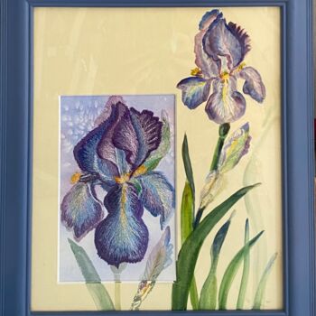 Pittura intitolato "Flag Iris" da Ann Dunbar, Opera d'arte originale, Acquarello Montato su Cartone