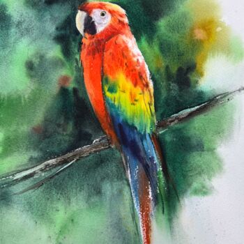 Pittura intitolato "Ara parrot" da Eugenia Gorbacheva, Opera d'arte originale, Acquarello