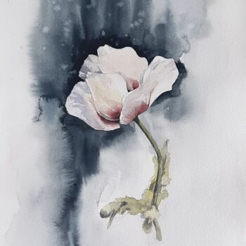 Peinture intitulée "White poppy" par Anna Hnatiuk, Œuvre d'art originale, Aquarelle