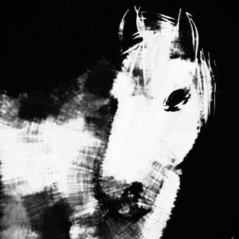 Arte digitale intitolato "le cheval de camarg…" da Jacky Patin, Opera d'arte originale