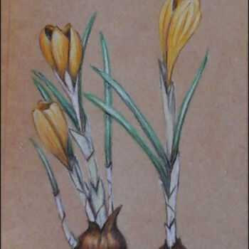 Painting titled "crocus.jpg" by Eileenddesign, Original Artwork