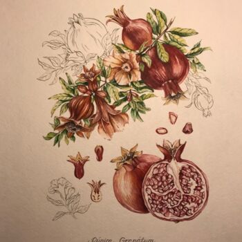 Malerei mit dem Titel "Botanical Illustrat…" von Elena Maslova, Original-Kunstwerk, Aquarell