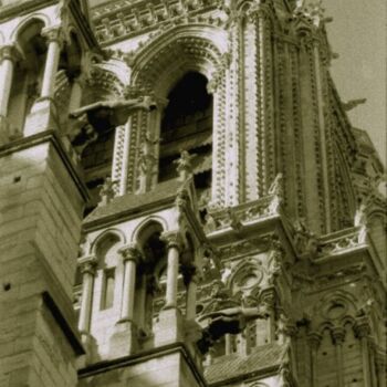 Photography titled "Notre-Dame" by Denis Jeanson, Original Artwork