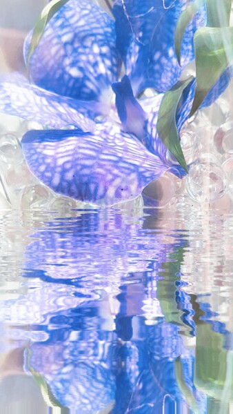 Photographie intitulée "Reflet Zygopetalum…" par Kasiopea, Œuvre d'art originale, Photographie numérique
