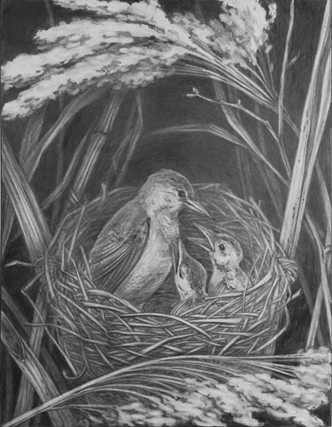 Картина под названием "Birds" - Olha Protsenko, Подлинное произведение искусства, Карандаш