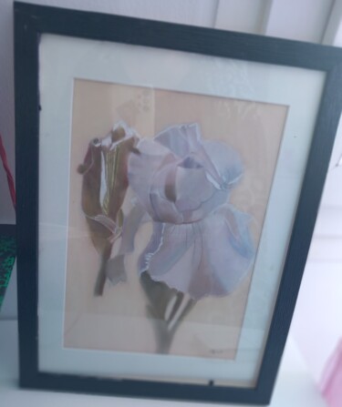 Rysunek zatytułowany „Iris” autorstwa Nathalie Guidi, Oryginalna praca, Pastel Zamontowany na Szkło