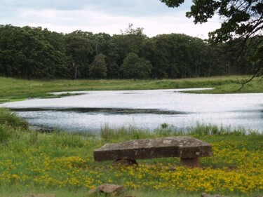 Fotografie getiteld "Beautiful Pond" door Cathy Robertson, Origineel Kunstwerk, Niet gemanipuleerde fotografie
