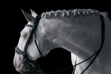 Fotografia intitolato "White Horse V" da Lori Adamski-Peek, Opera d'arte originale, Fotografia digitale