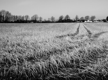 Photography titled "Field in Soest" by Elke Matthaeus, Original Artwork