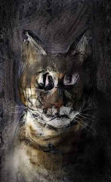 Arts numériques intitulée "Le gros chat" par Jacky Patin, Œuvre d'art originale