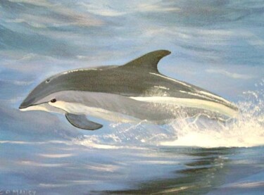 Pittura intitolato "dolphin fun" da Cathal O Malley, Opera d'arte originale