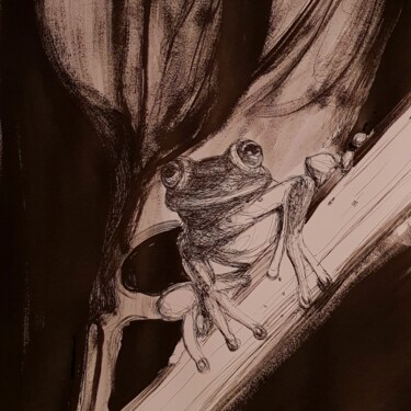 Drawing titled "Frog" by Karl Robial, Original Artwork, Ink