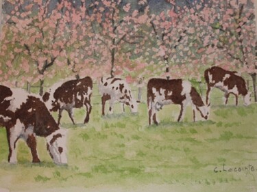 Painting titled "les vaches aux pomm…" by Claude Lacointe, Original Artwork, Watercolor