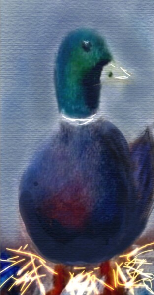 Arts numériques intitulée "Le canard sauvage..." par Jacky Patin, Œuvre d'art originale, Peinture numérique