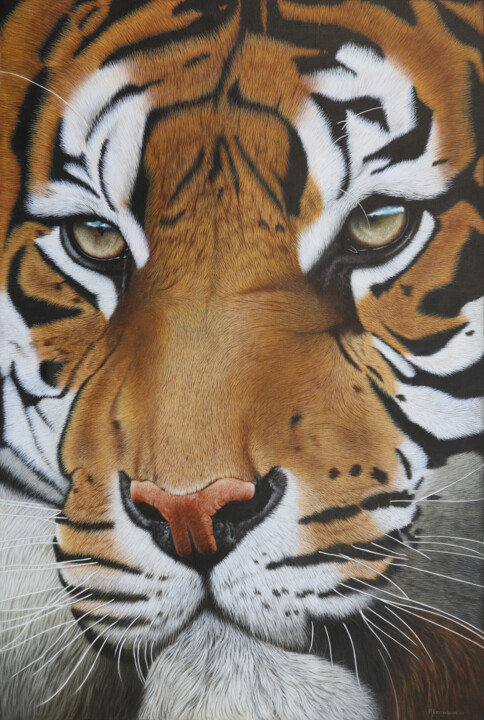Malarstwo zatytułowany „Tiger Khan II” autorstwa Peda Radovanovic, Oryginalna praca, Olej