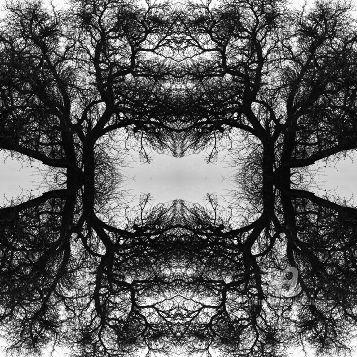 Arts numériques intitulée "Mandala 02" par Franz Hümpfner, Œuvre d'art originale, Photo montage