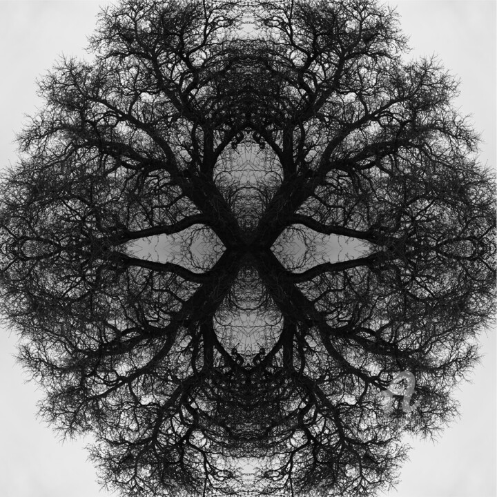 Arts numériques intitulée "Mandala 03" par Franz Hümpfner, Œuvre d'art originale, Photo montage