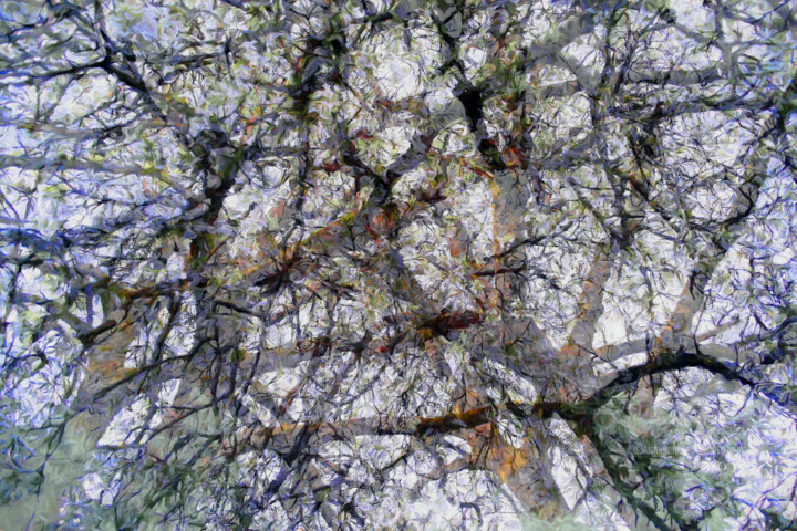 Digital Arts titled "Digital Cherry Blos…" by Franz Hümpfner, Original Artwork, Digital Painting Mounted on Metal