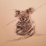 Zeichnungen mit dem Titel "Koala.." von Karl Robial, Original-Kunstwerk, Tinte