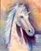 Enlace Mary Carmen Diez Colorado