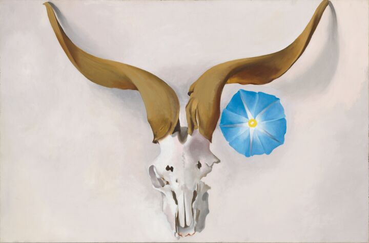 61bb5343cdddf2.48948821_georgia-o-keeffe-ram-s-head-blue-morning-glory-1938-resized.png