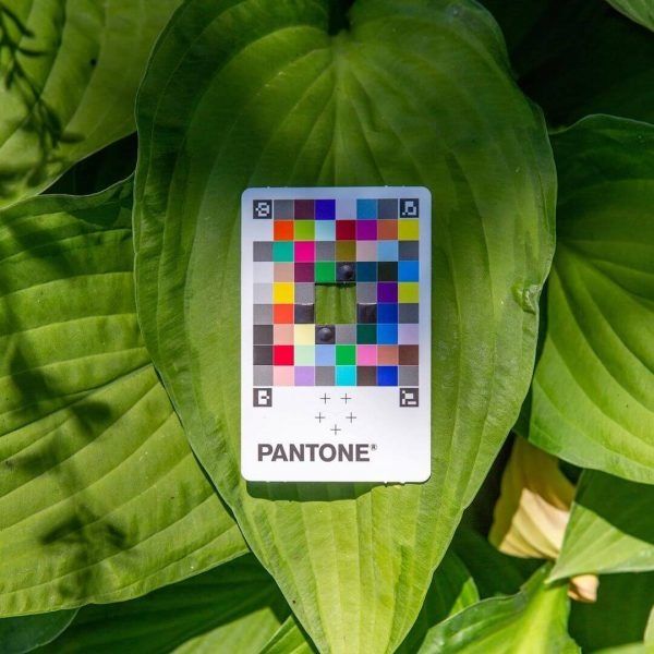 pantone-color-match-card-31-600x600.jpg
