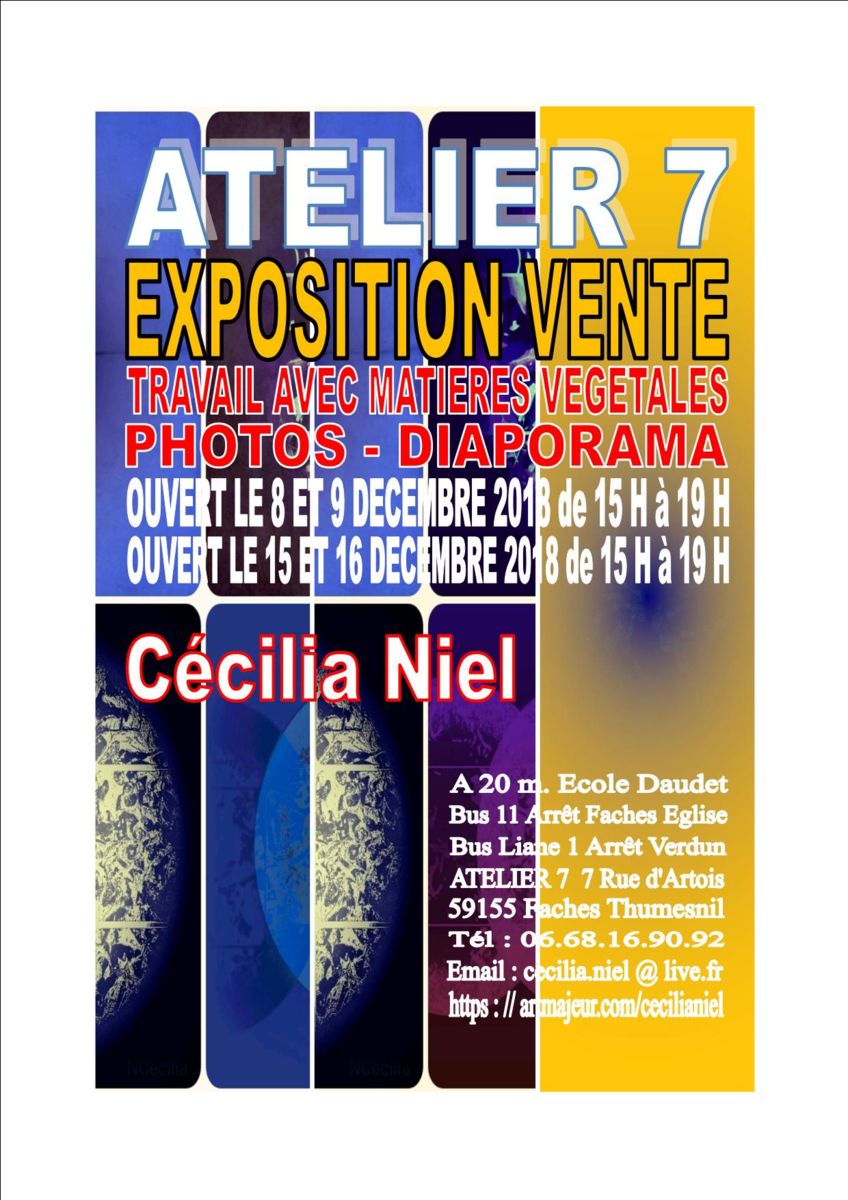 invitation-cecilia-niel-le-8-9-15-16-decembre-2018.jpg