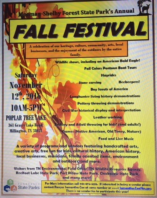 flyer-for-festival.jpg