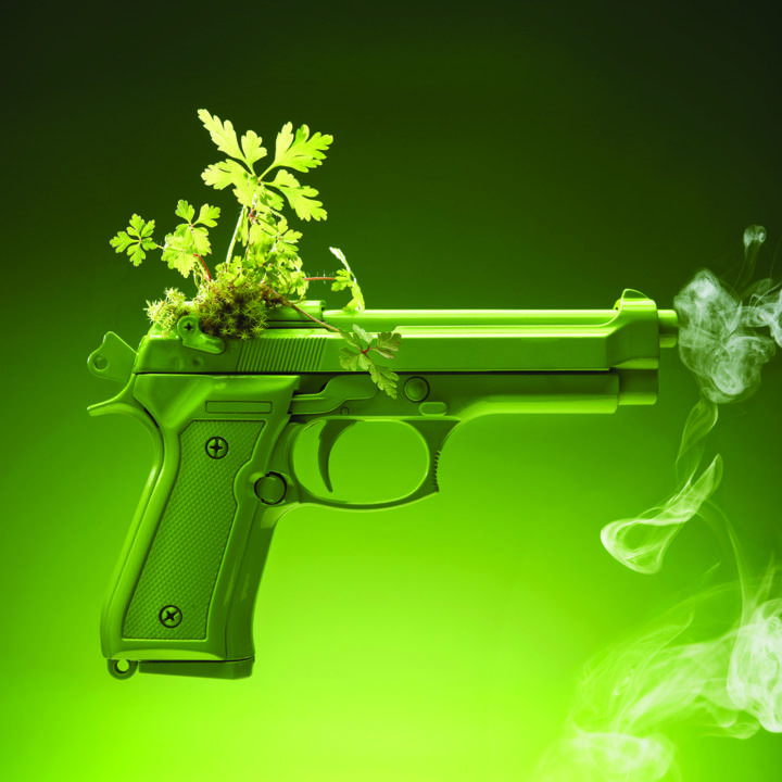 pretty-plantss-revenge.jpg
