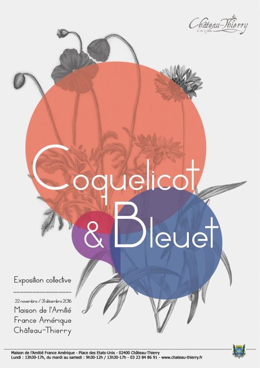 coquelicot-et-bleuets-web.jpg