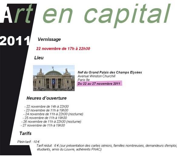 art-en-capital-2011-palais.jpg