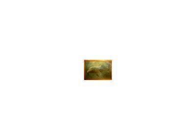 Franck Lamy (法国), 当代画家艺术家 Artmajeur