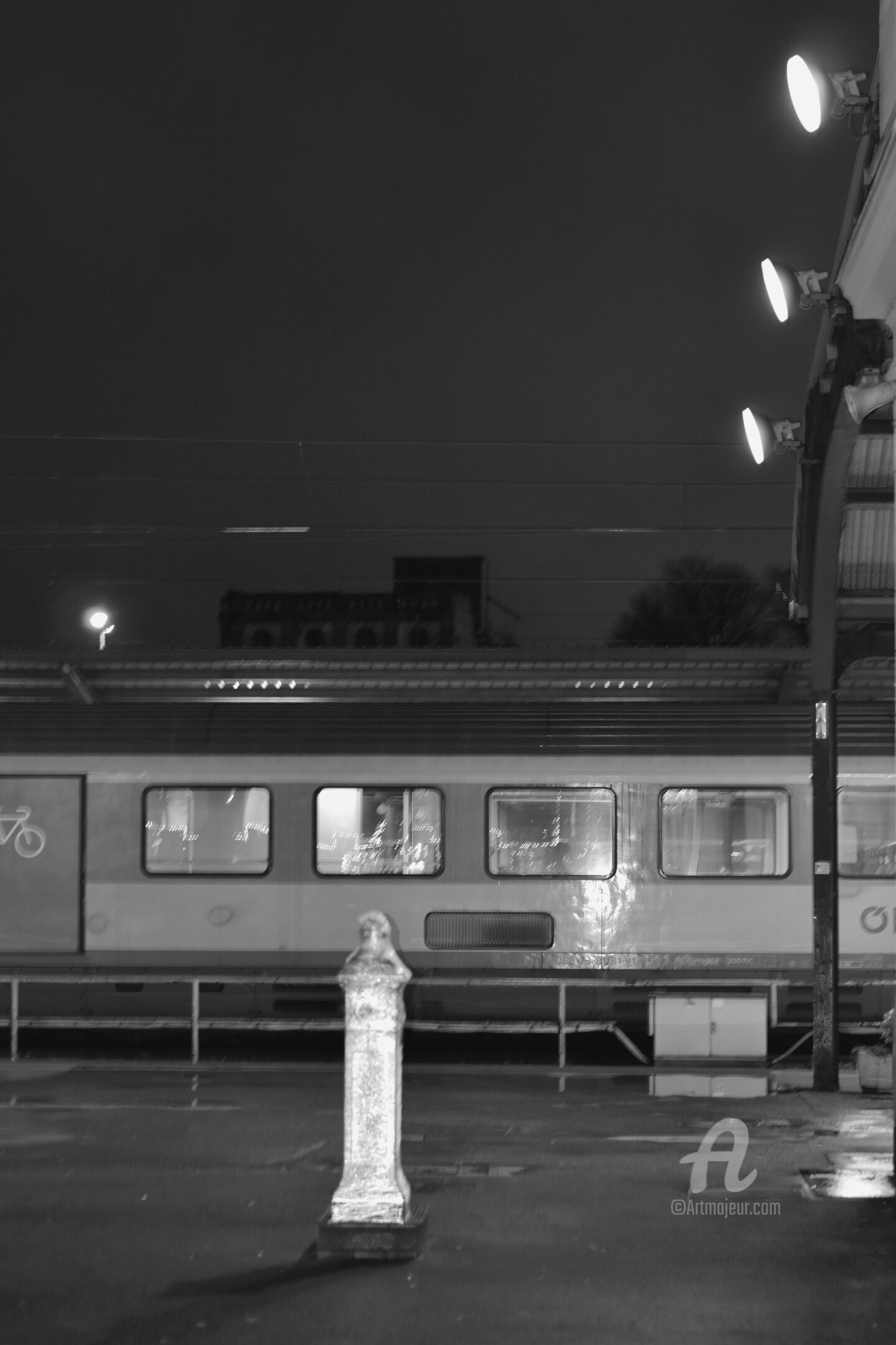 Artificial Light In Complete Darkness, Photography by Alen Gurovic Artmajeur