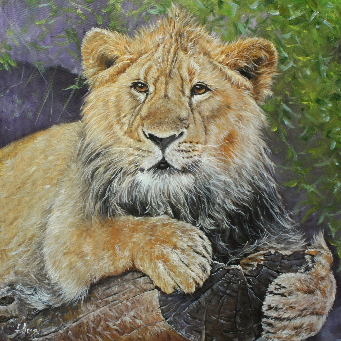 Король лев картины