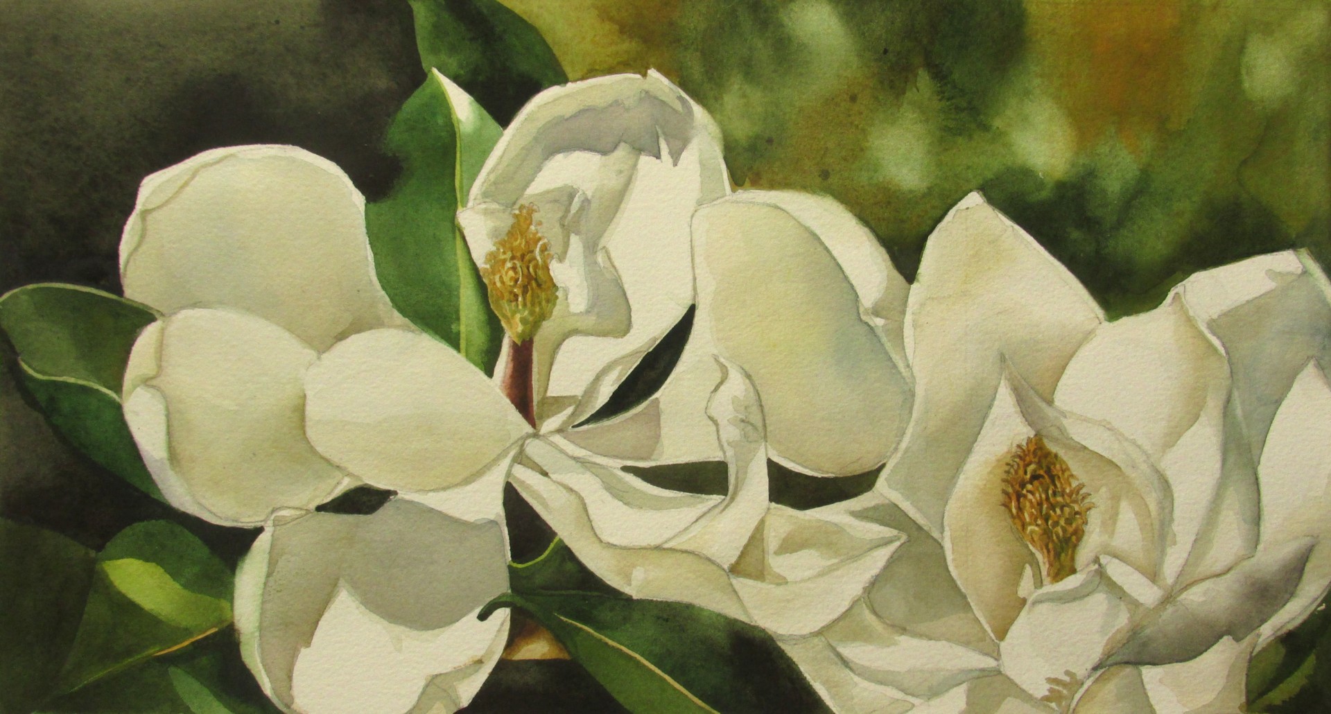 Magnolia Flower Painting Best Flower Site