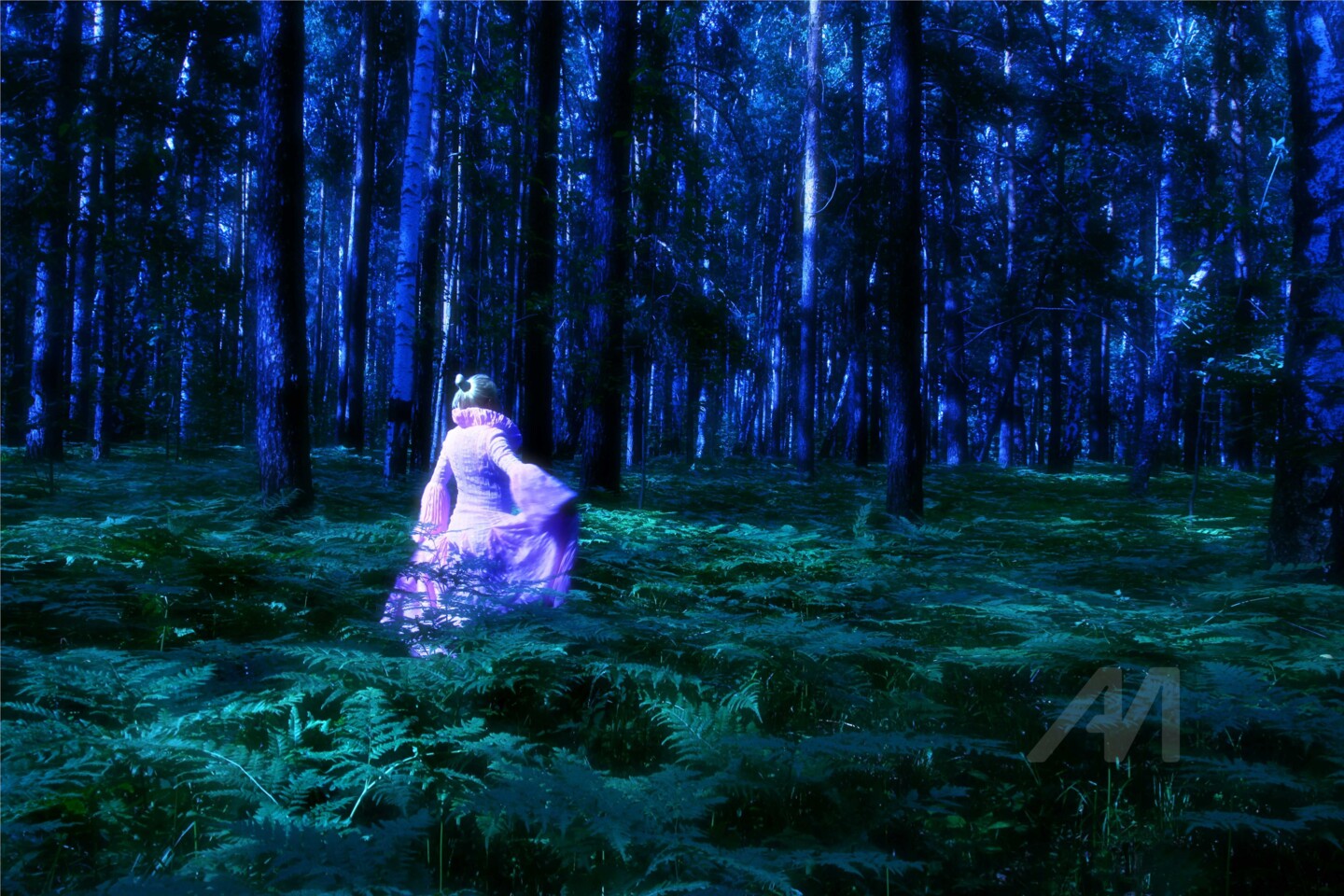 Сказочный Лес, Photography by Andrey & Anastasia Petukhovy | Artmajeur