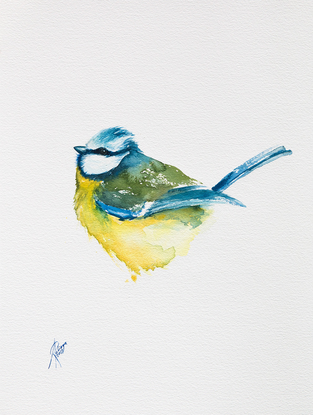 Blue Tit watercolor and ink