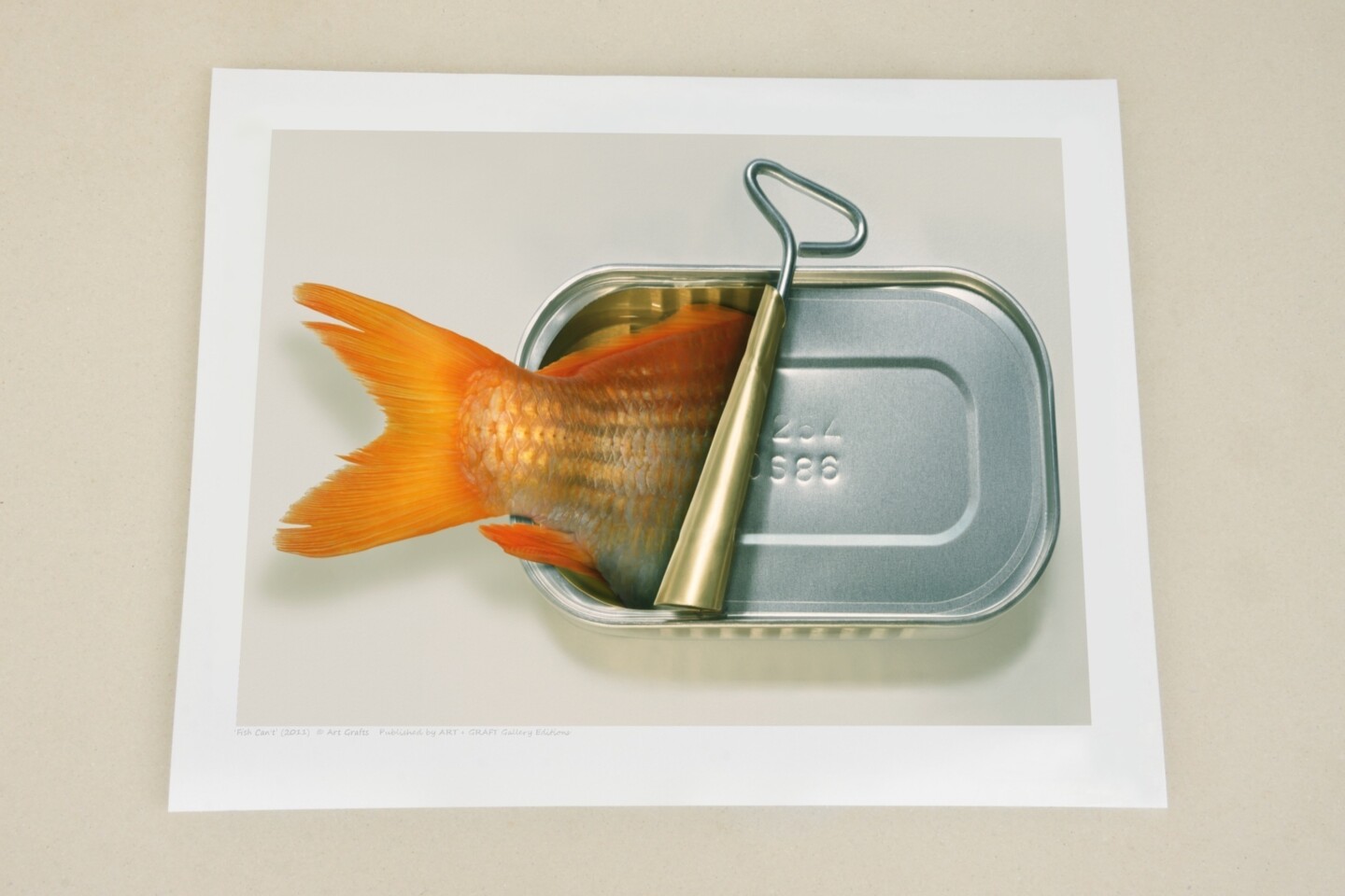 Fish Can & Fish Can't (Two Prints), Digital Arts by Art Grafts | Artmajeur