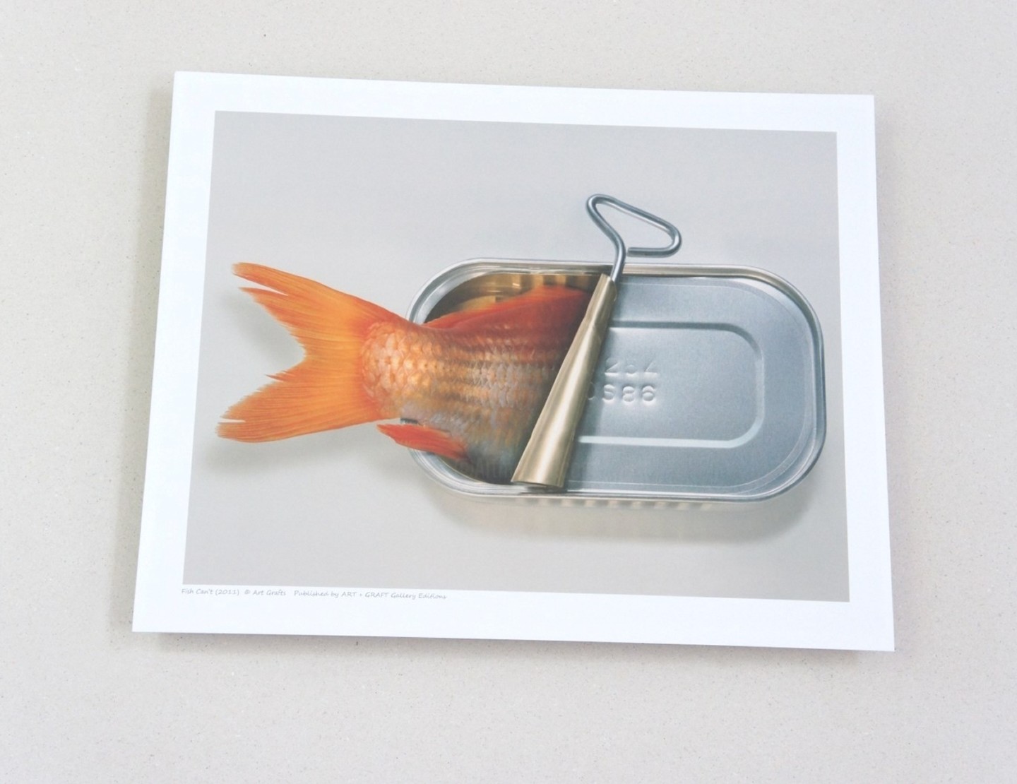 Fish Can't, Digital Arts by Art Grafts | Artmajeur