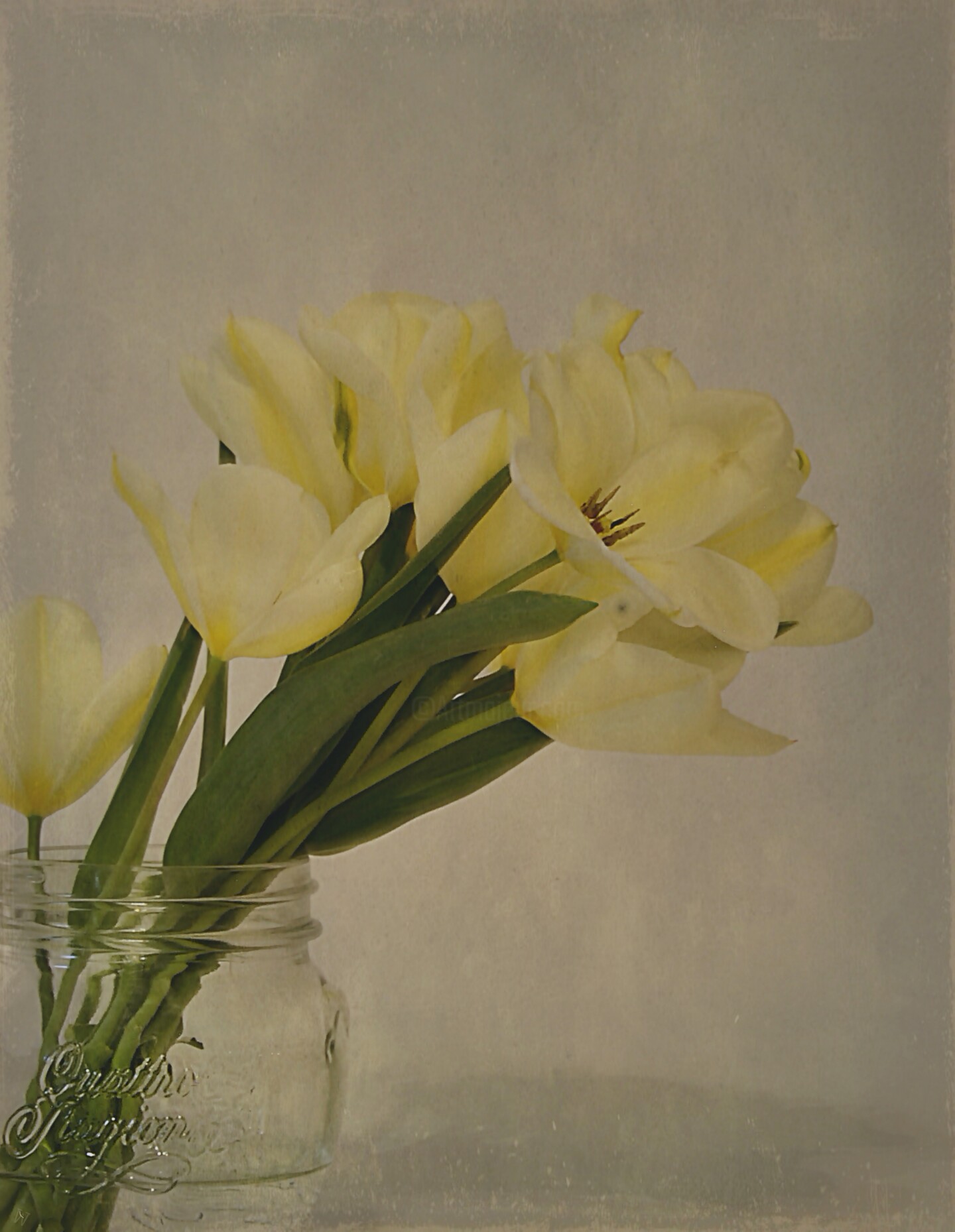 Le Quattro Stagioni, La Primavera (I. Al, Photography by Aster Artmajeur