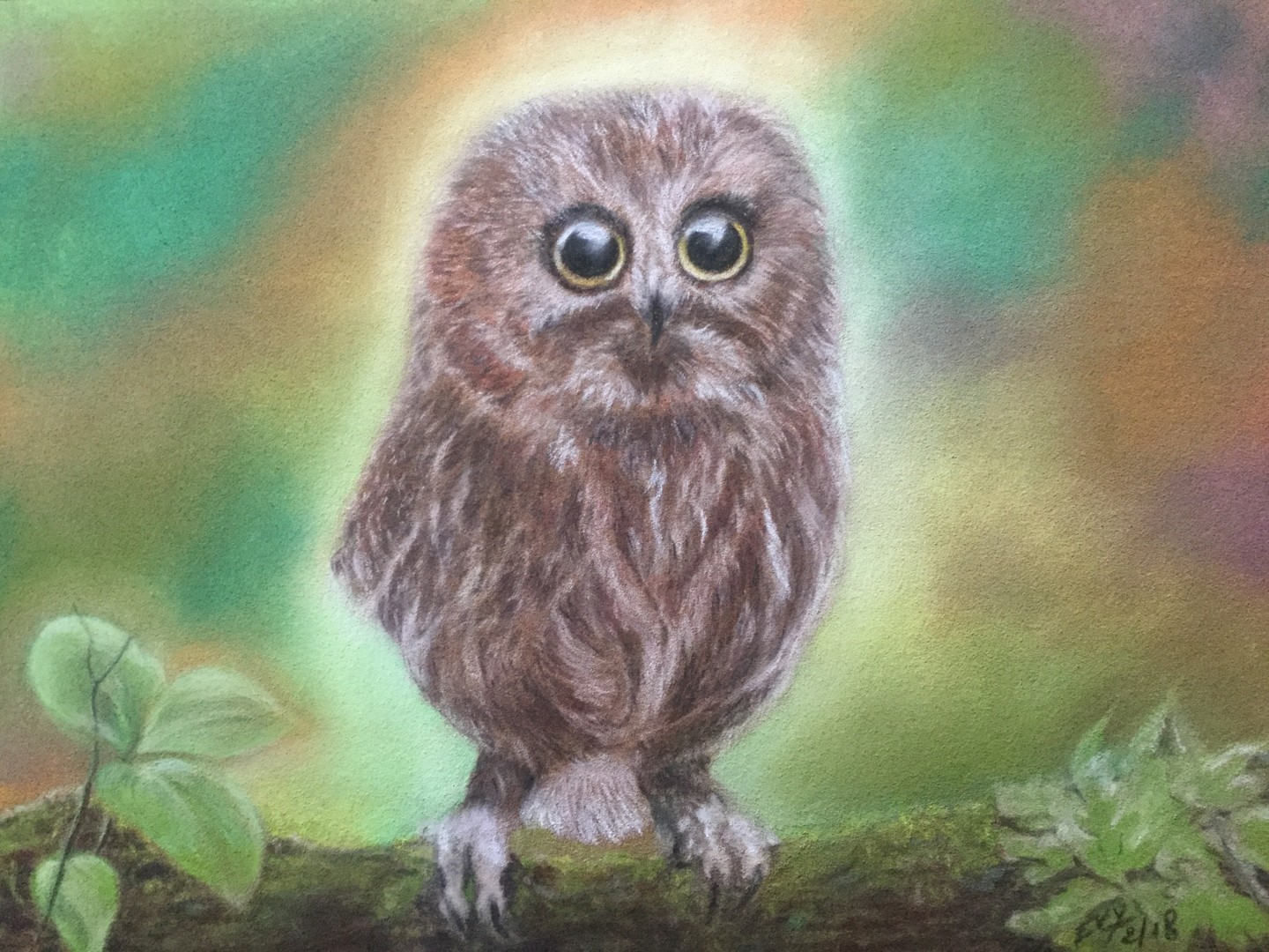 Bebe Hibou Jpeg Peinture Par Evelyne Belsens Artmajeur