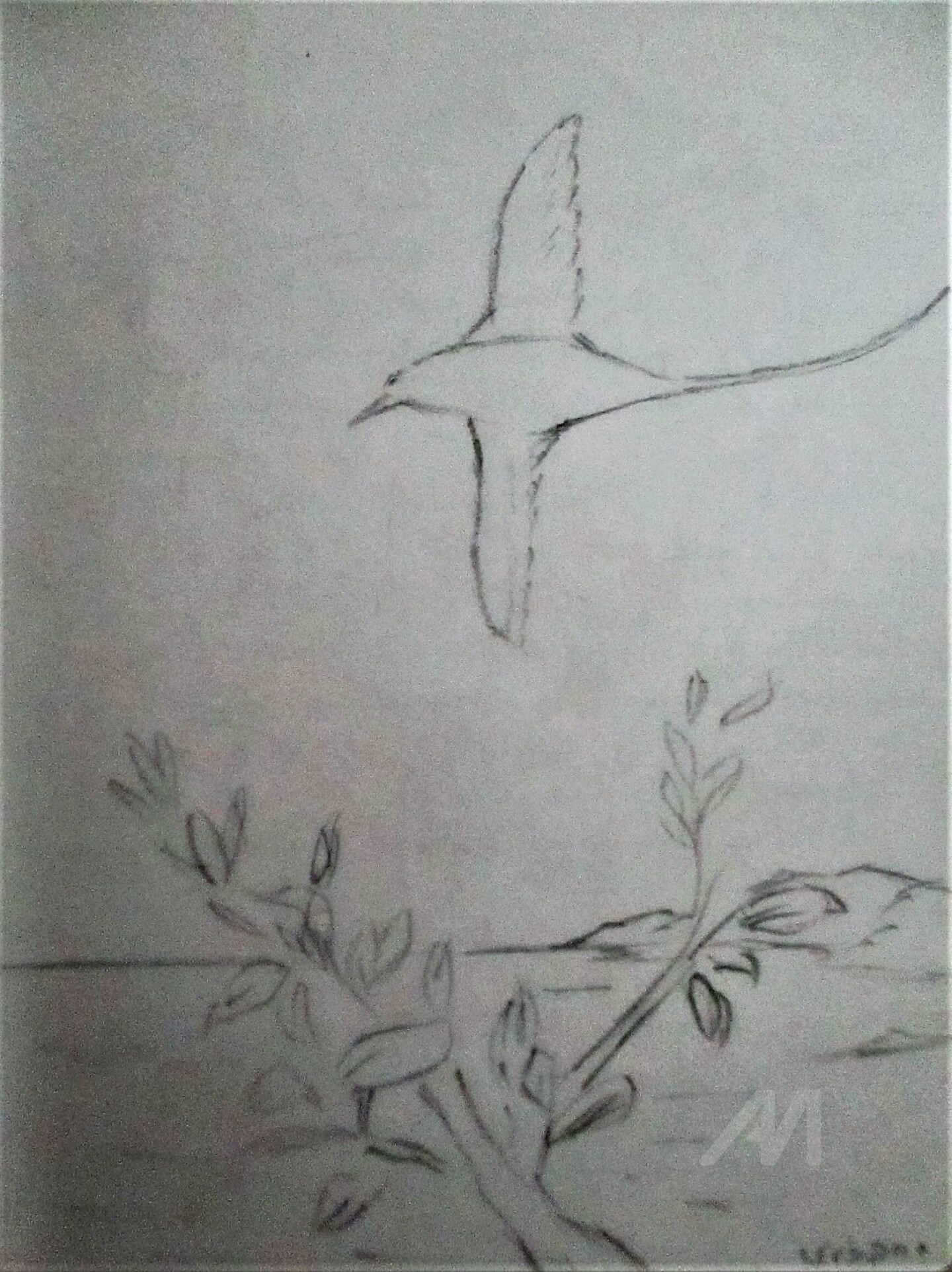 Paille En Queue, Dessin par Roberto Urbano Artmajeur