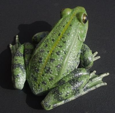 Sculpture dr/ôle de grenouille sur un v/élo Statue int/éressante pour d/écoration de bureau Crazyfly Sculpture de grenouille verte