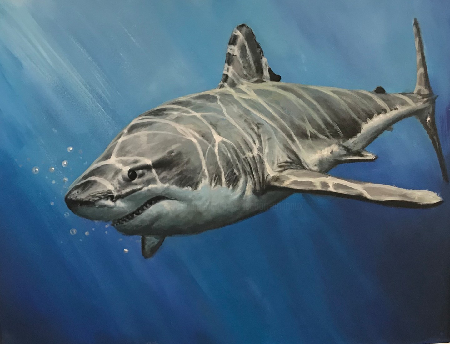 Requin Blanc Painting By Collection Animaux Artmajeur Requin Blanc Painting By Collection Animaux Artmajeur