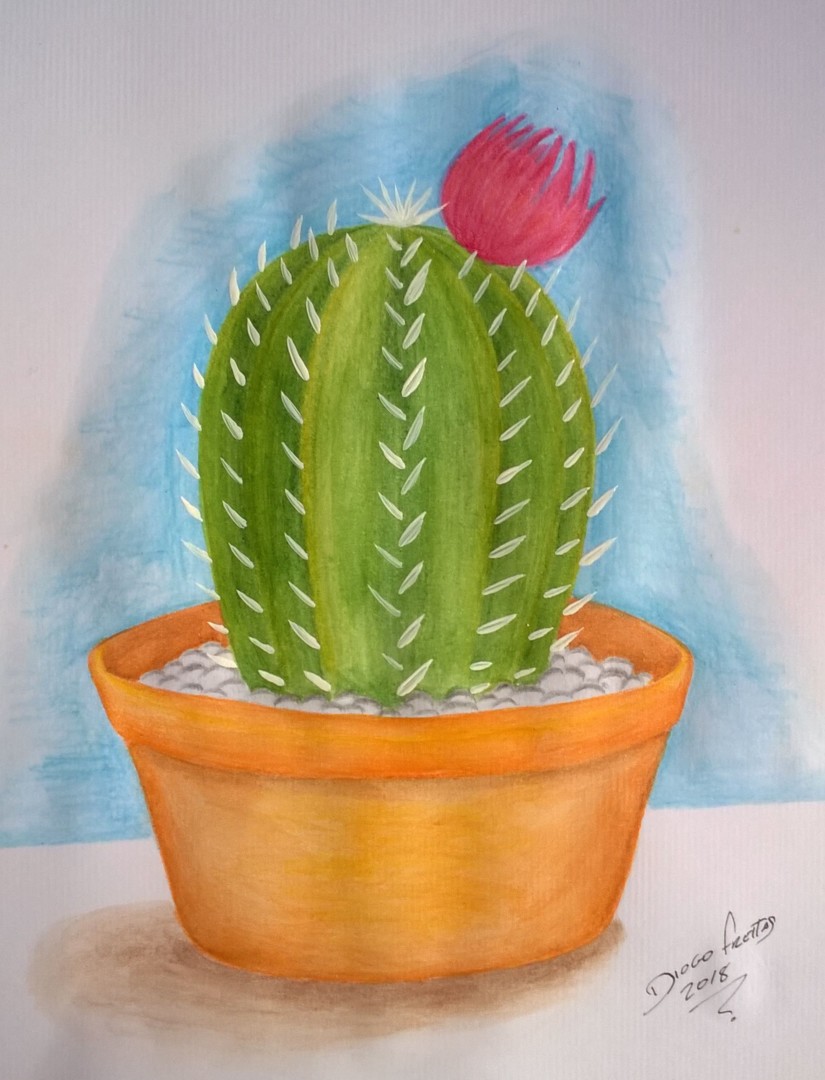 Desenho de Cacto com flor pintado e colorido por Dalia o dia 03 de Maio do  2015