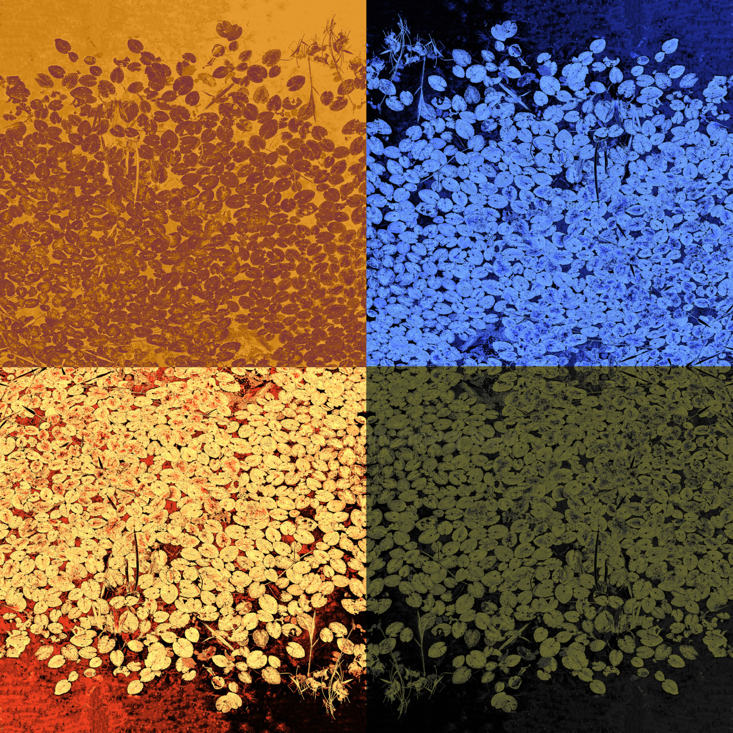 Download Art encadre pres de moi For Free