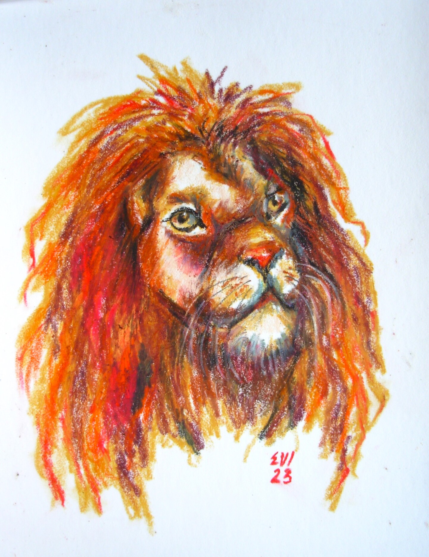 Lion Animal Original Oil Pastel Painting, Painting by Elena Ivanova |  Artmajeur